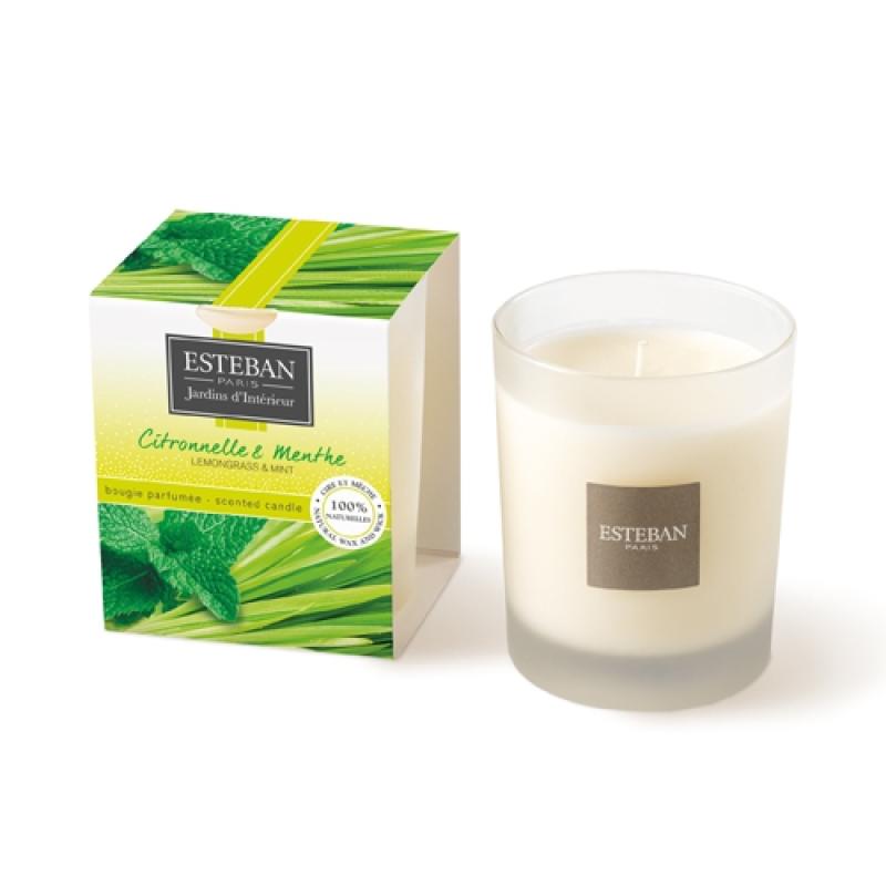 Bougie parfumée citronnelle et menthe 170 gr Esteban